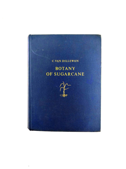 Botany of sugarcane