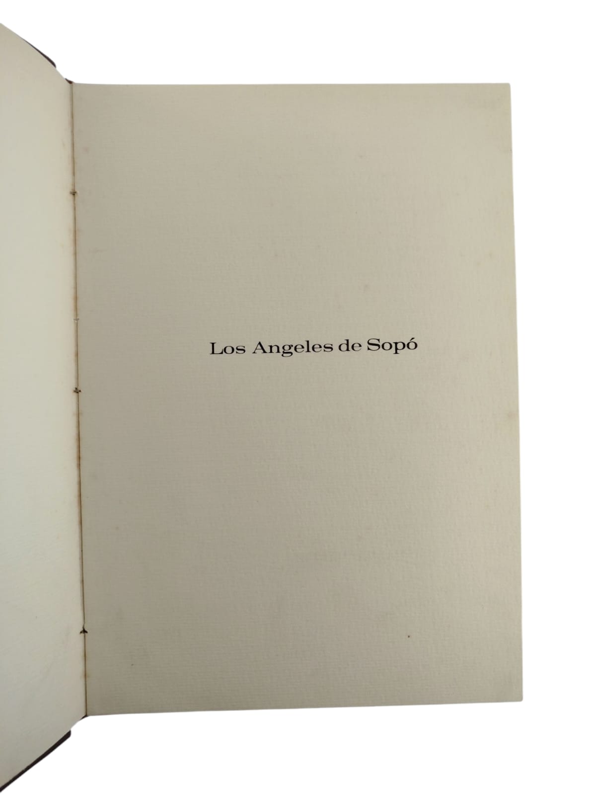 Los ángeles de Sopó by Hernán Díaz