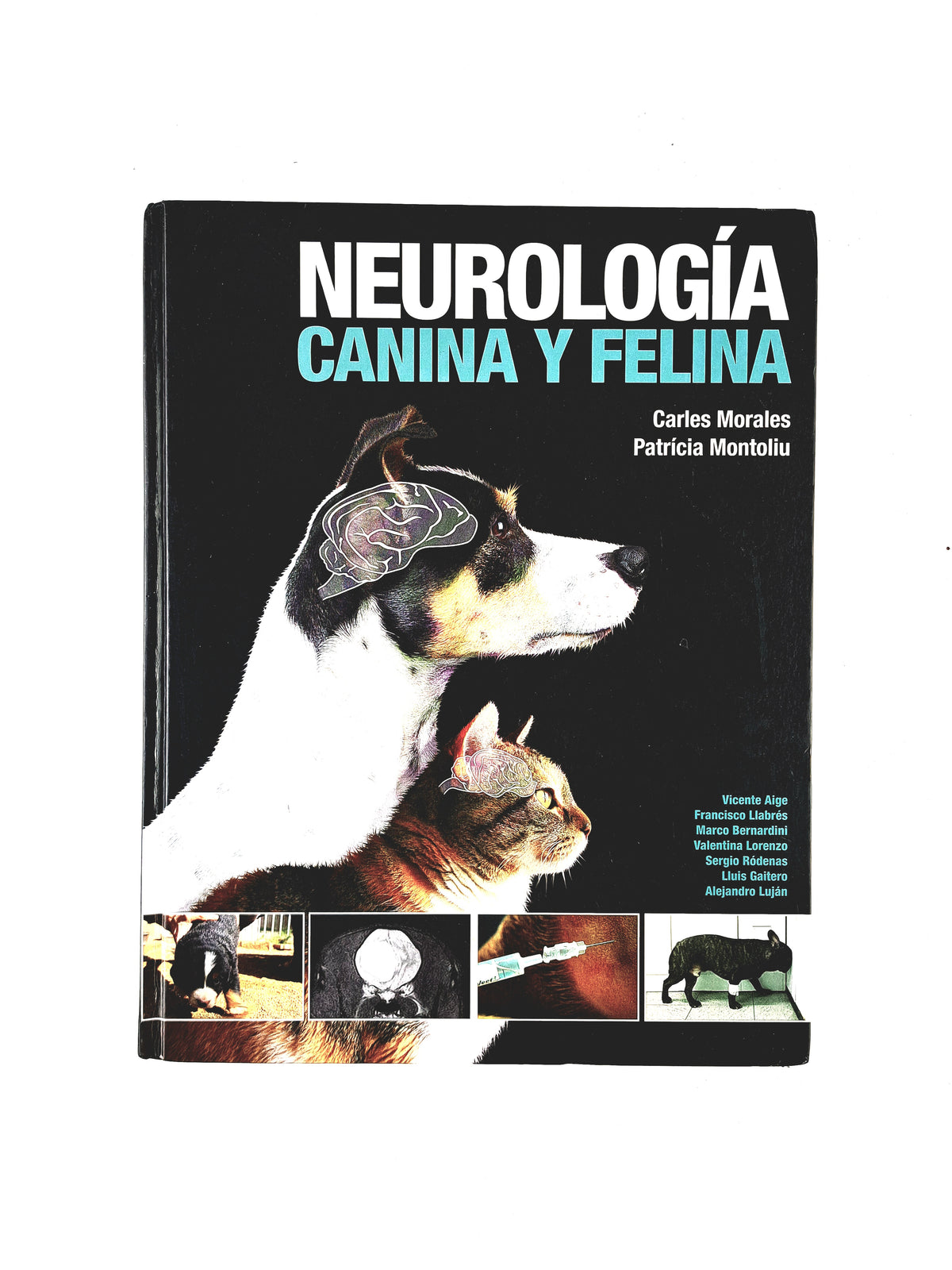 Neurología canina y felina by Vicente Aige Francisco Llabrés Mrco Bernardini Valentina Lorenzo Sergi Ródenas Lluis Gaitero Alejandro Luján