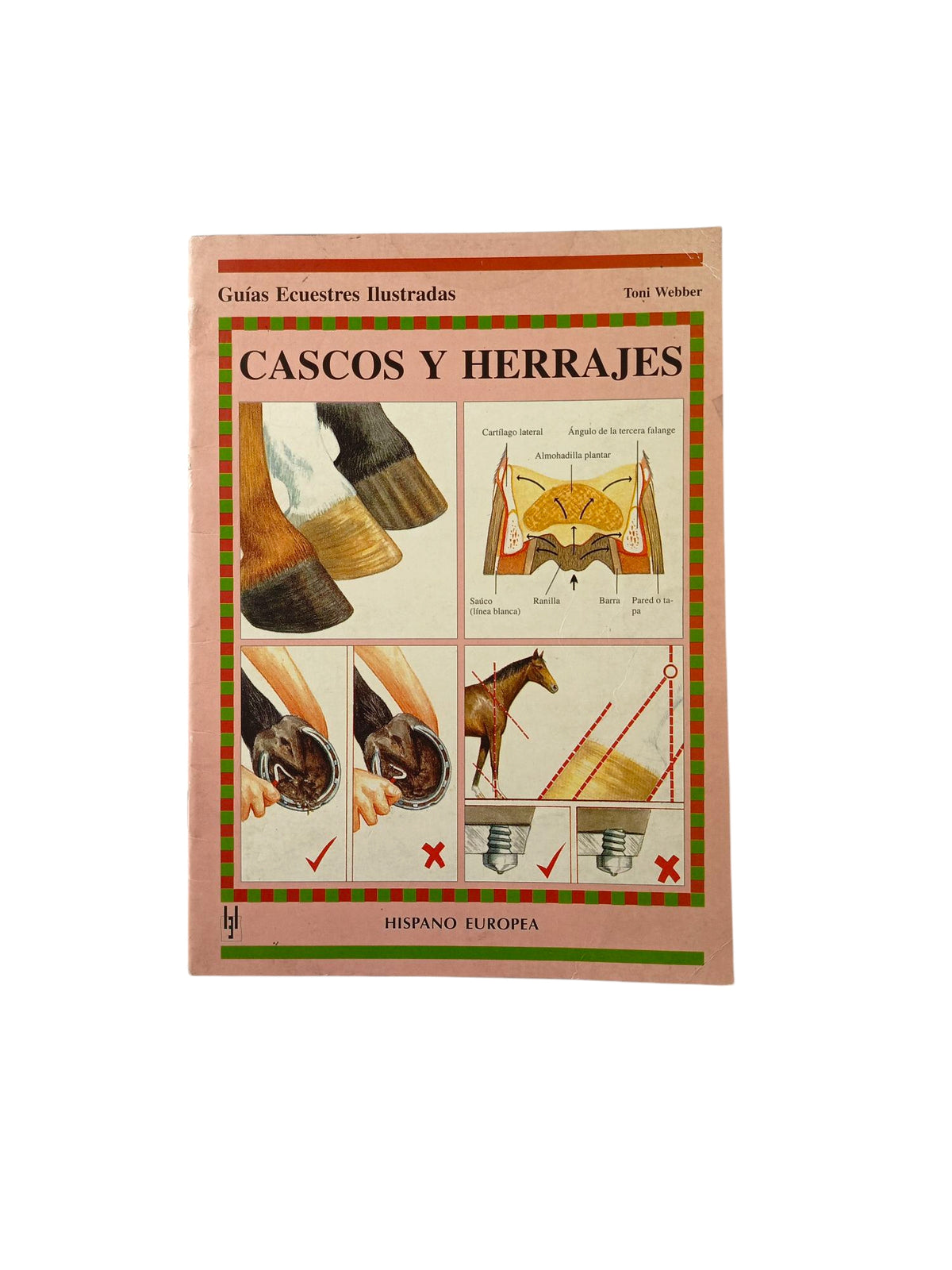 Cascos y Herrajes by Toni Webber
