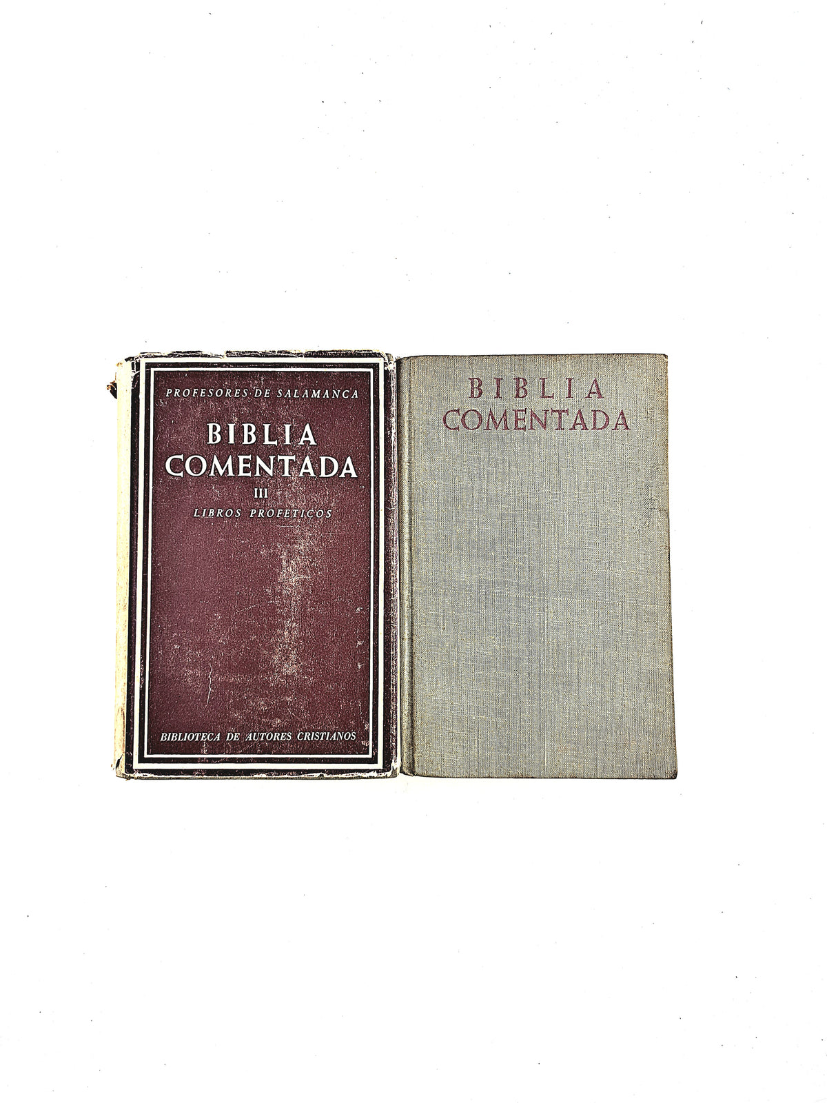 Biblia cometada dos tomos by Luis arnaldich