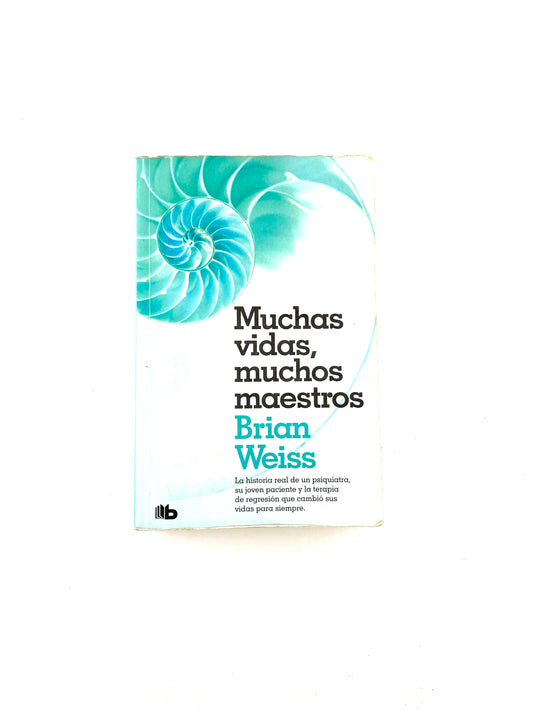 Muchas vidas muchos maestros