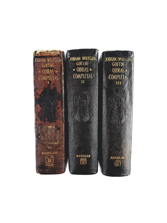 Johann Wolfgang Goethe Obras Completas 3 Volumenes