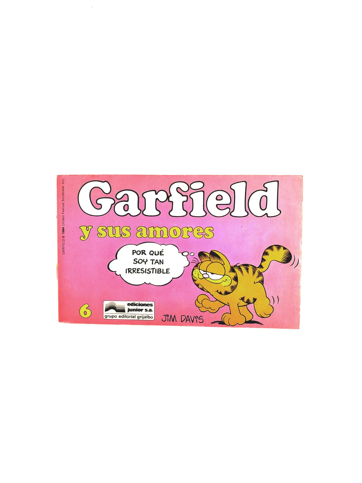 Garfield y sus amores 6 by Jim Davis