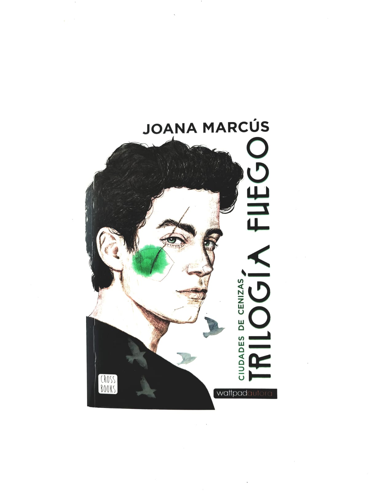 Trílogia fuego ciudades de cenizas by Joana Marcús