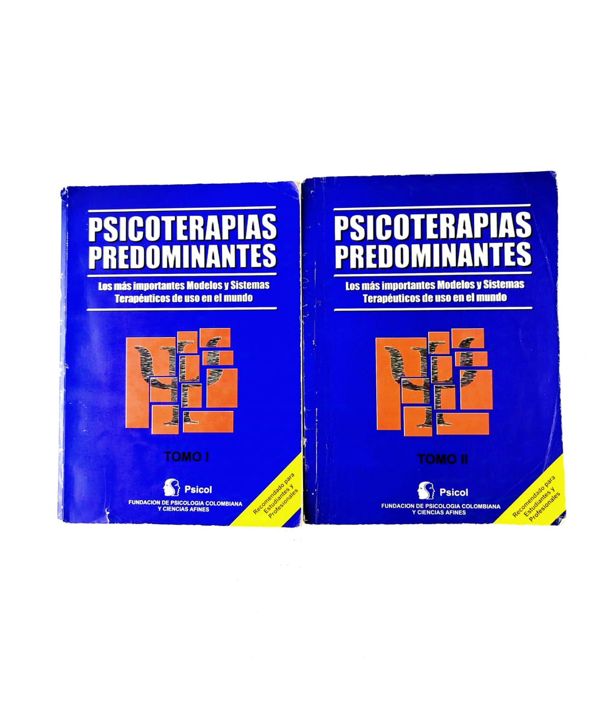 Psicoterapias predominantes. Los más importantes modelos y sistemas terapéuticos de uso en el mundo 2 Tomos by Raymond Corsini