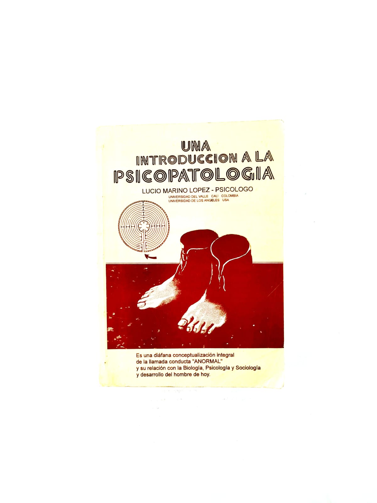 Una introducción a la psicopatologia