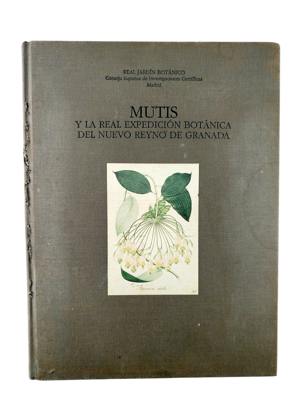 Mutis y la real expedición botánica del nuevo reino de granada by Real Jardín Botanico