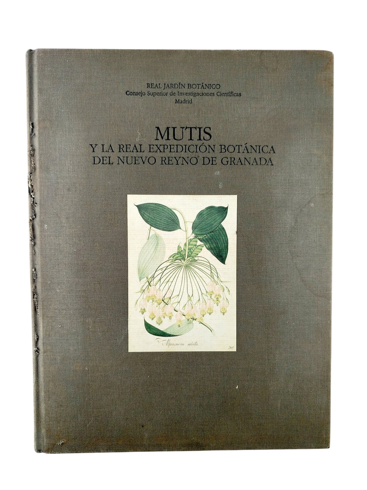 Mutis y la real expedición botánica del nuevo reino de granada by Real Jardín Botanico