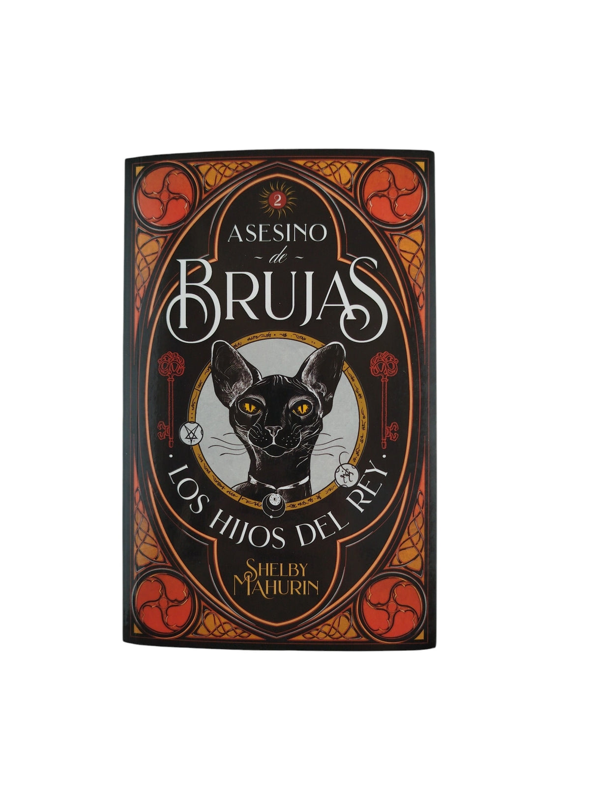 Asesino de brujas 2 los hijos del rey by Shelby Mahurin