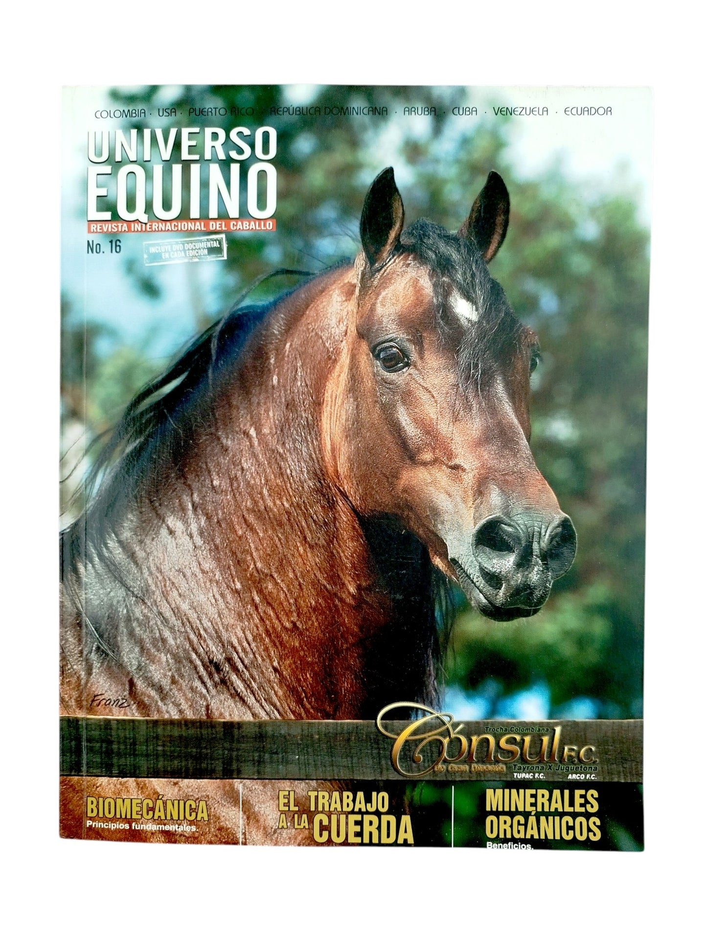 Universo equino. Revista internacional del cabello No.16 by Varios