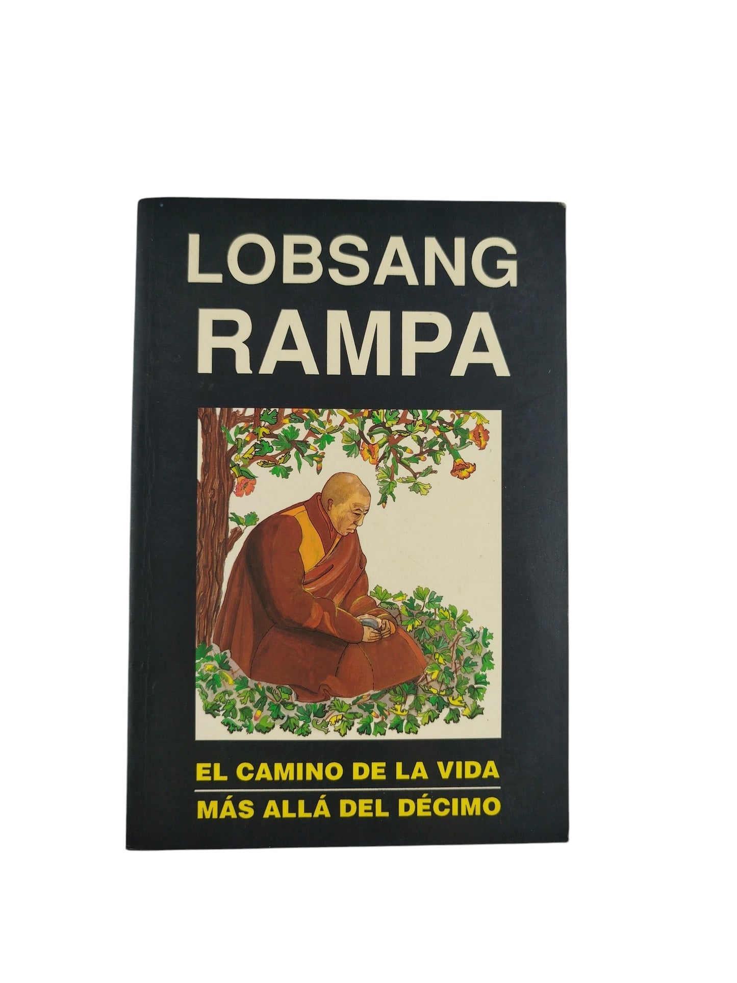 El camino de la vida más allá del décimo by Lobsang rampa