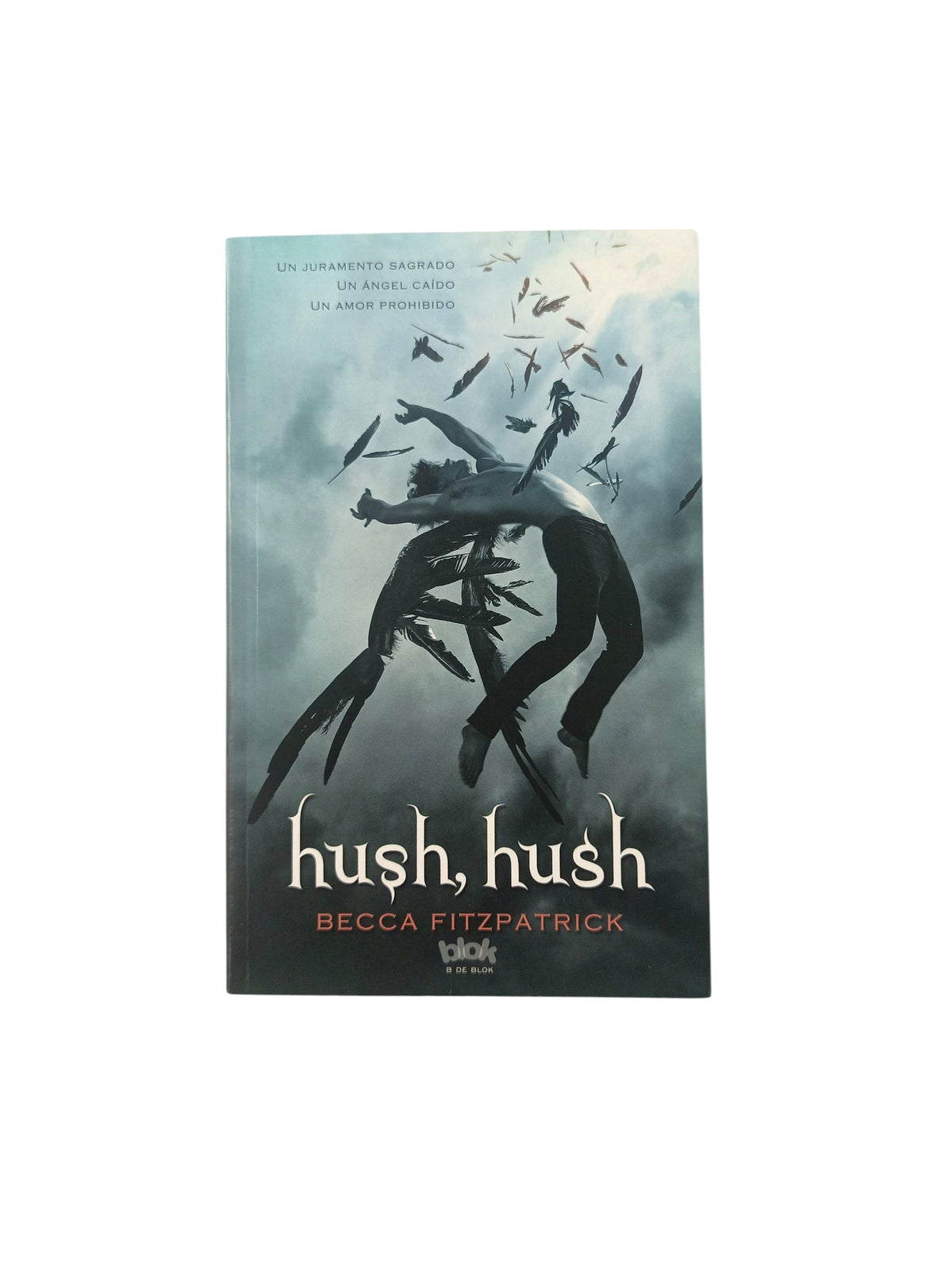 Hush, hush by Becca Fitzpatrick