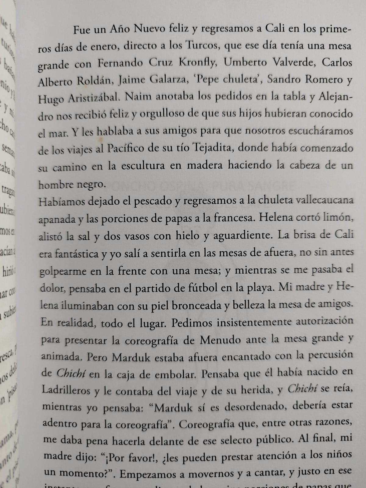 Los turcos de cocoliso by Sebastián Valencia Sayin