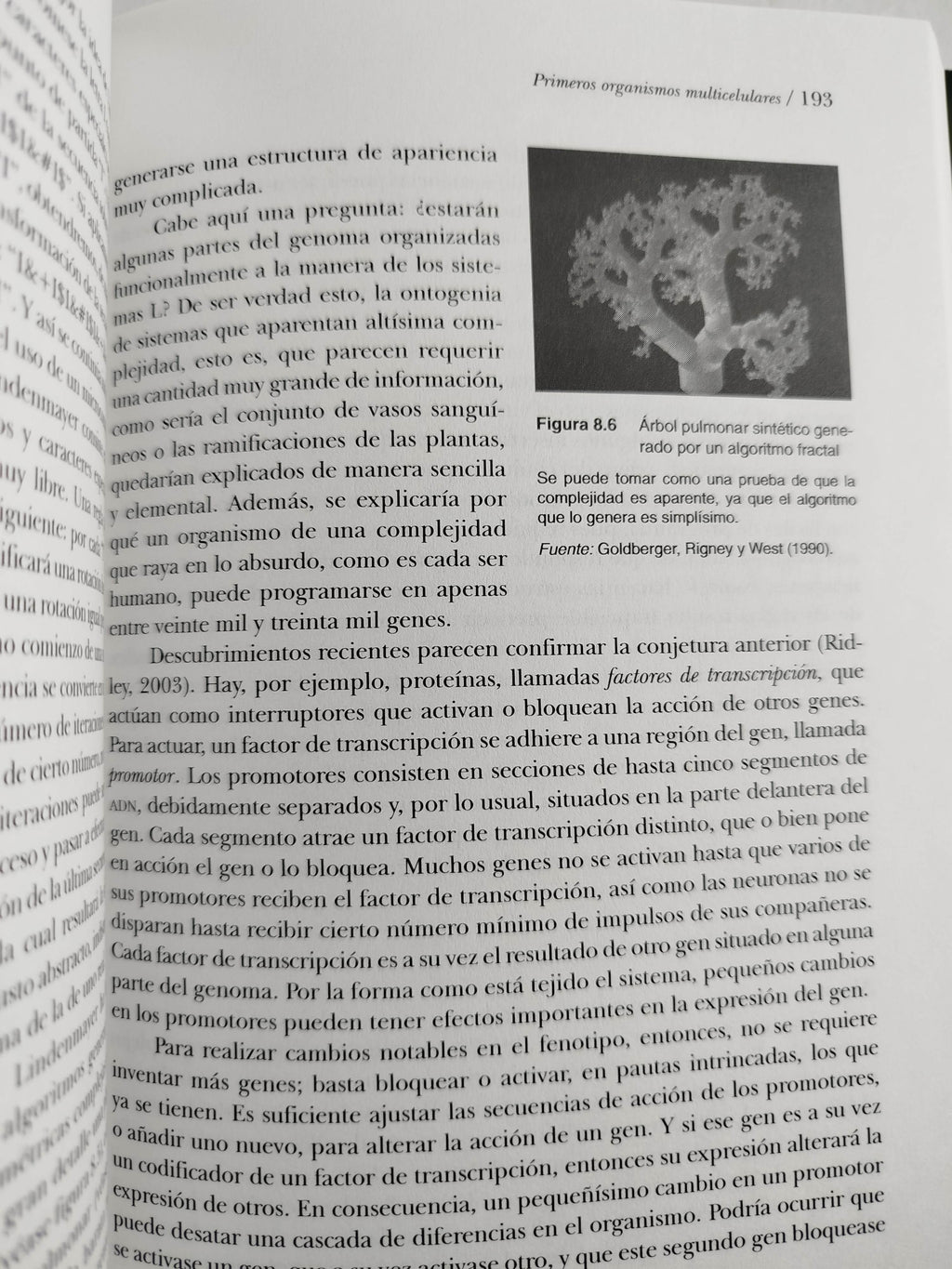 Del bog bang al homo sapiens by Antonio Vélez