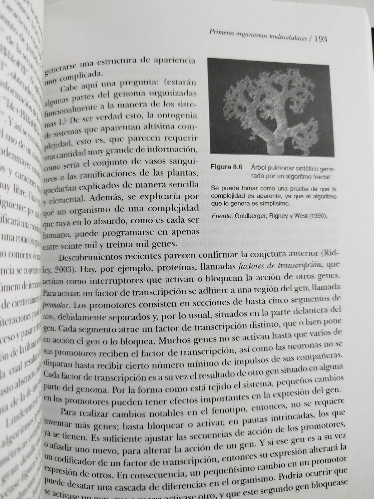 Del bog bang al homo sapiens by Antonio Vélez