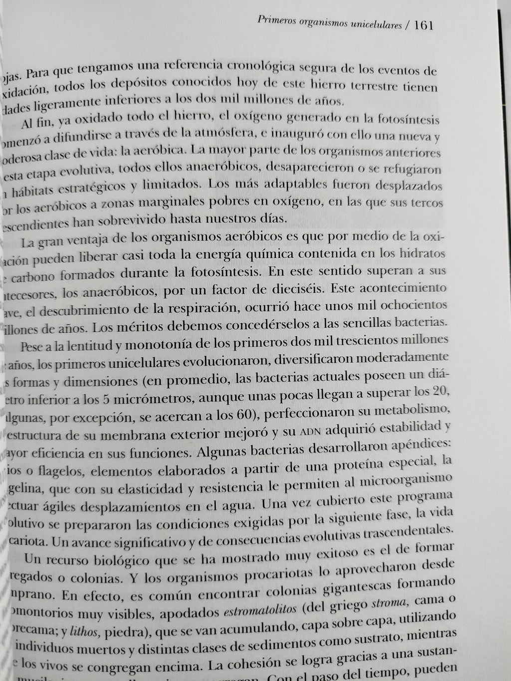Del bog bang al homo sapiens by Antonio Vélez