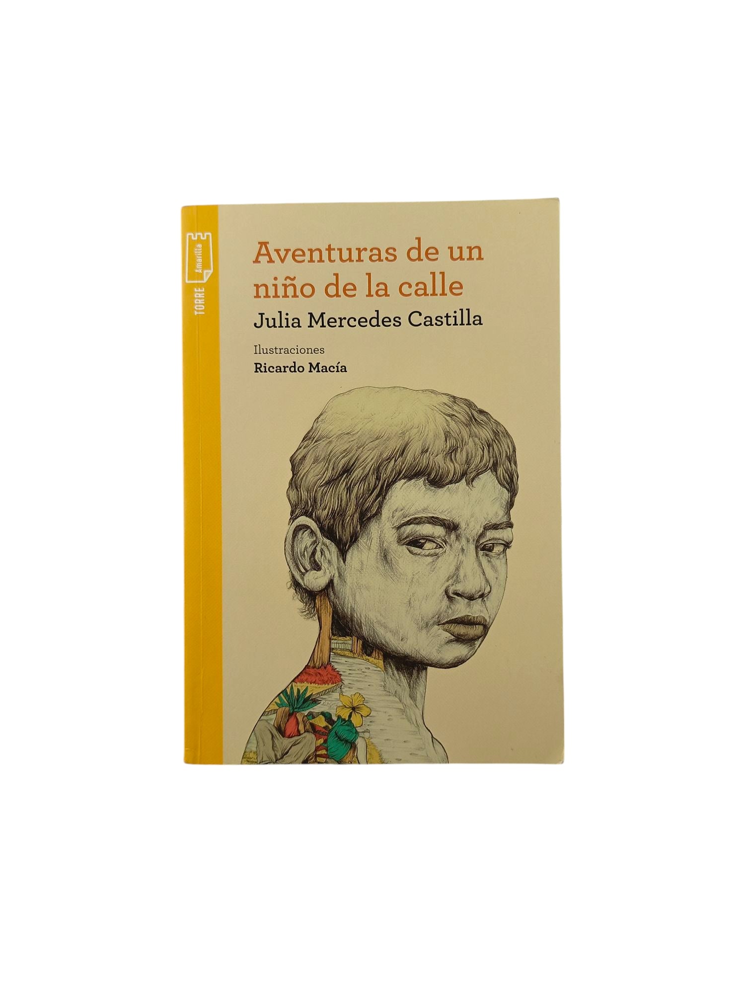 Aventuras de un niño de la calle by Julia Mercedes Castilla