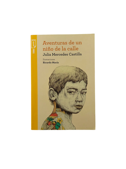 Aventuras de un niño de la calle by Julia Mercedes Castilla