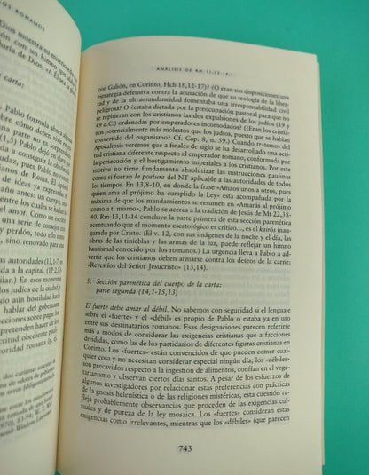 Introducción al nuevo testamento 2 tomos by Raymond E. Brown