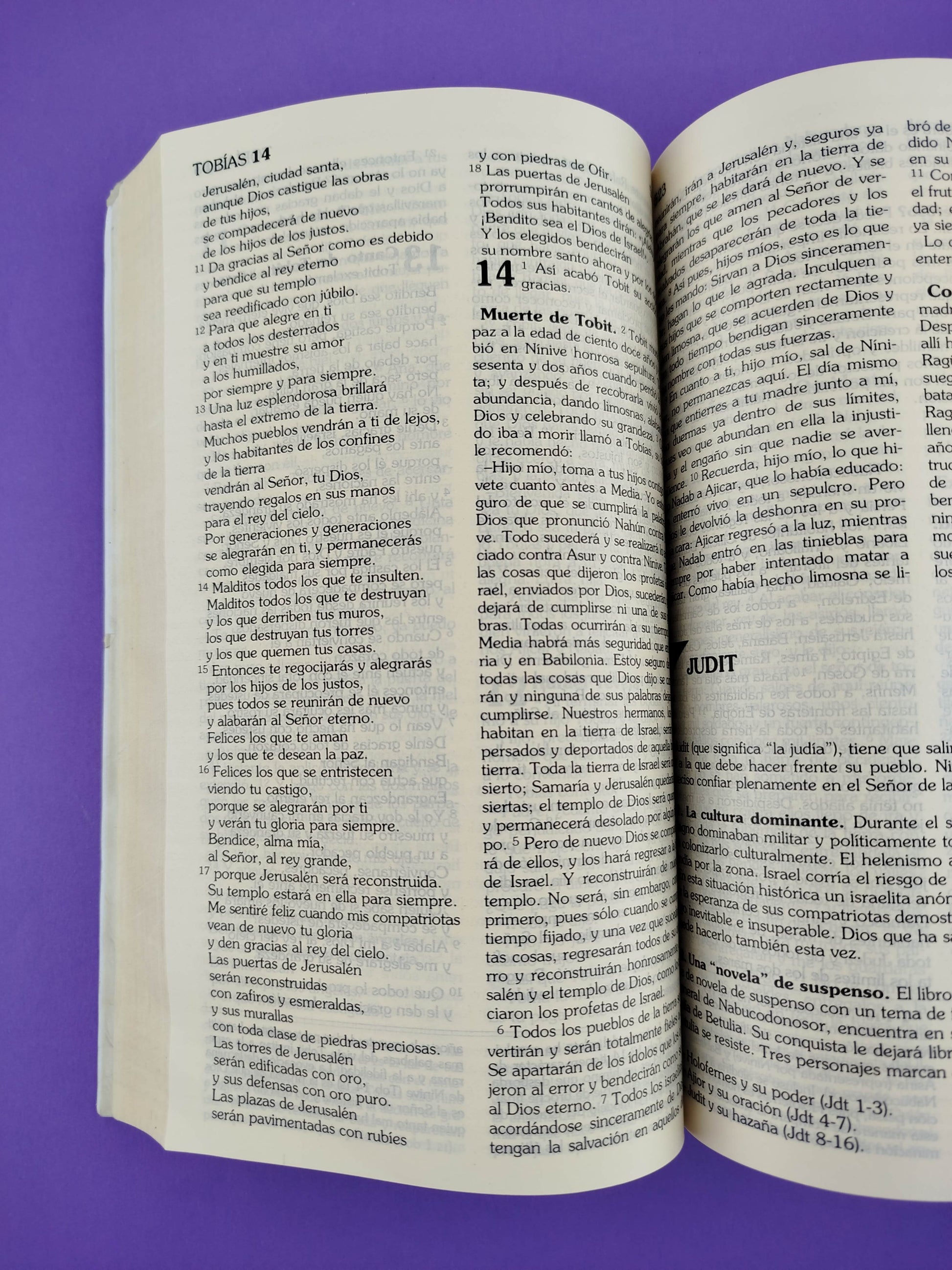 Biblia de américa letra grande by Varios