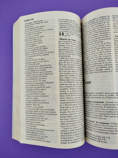 Biblia de américa letra grande by Varios