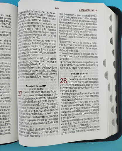 Biblia letra gigante negra gris con índice