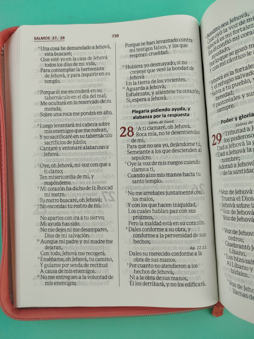 Biblia Letra gigante naranja champagne borde blanco con cierre by Reina Valera 1960
