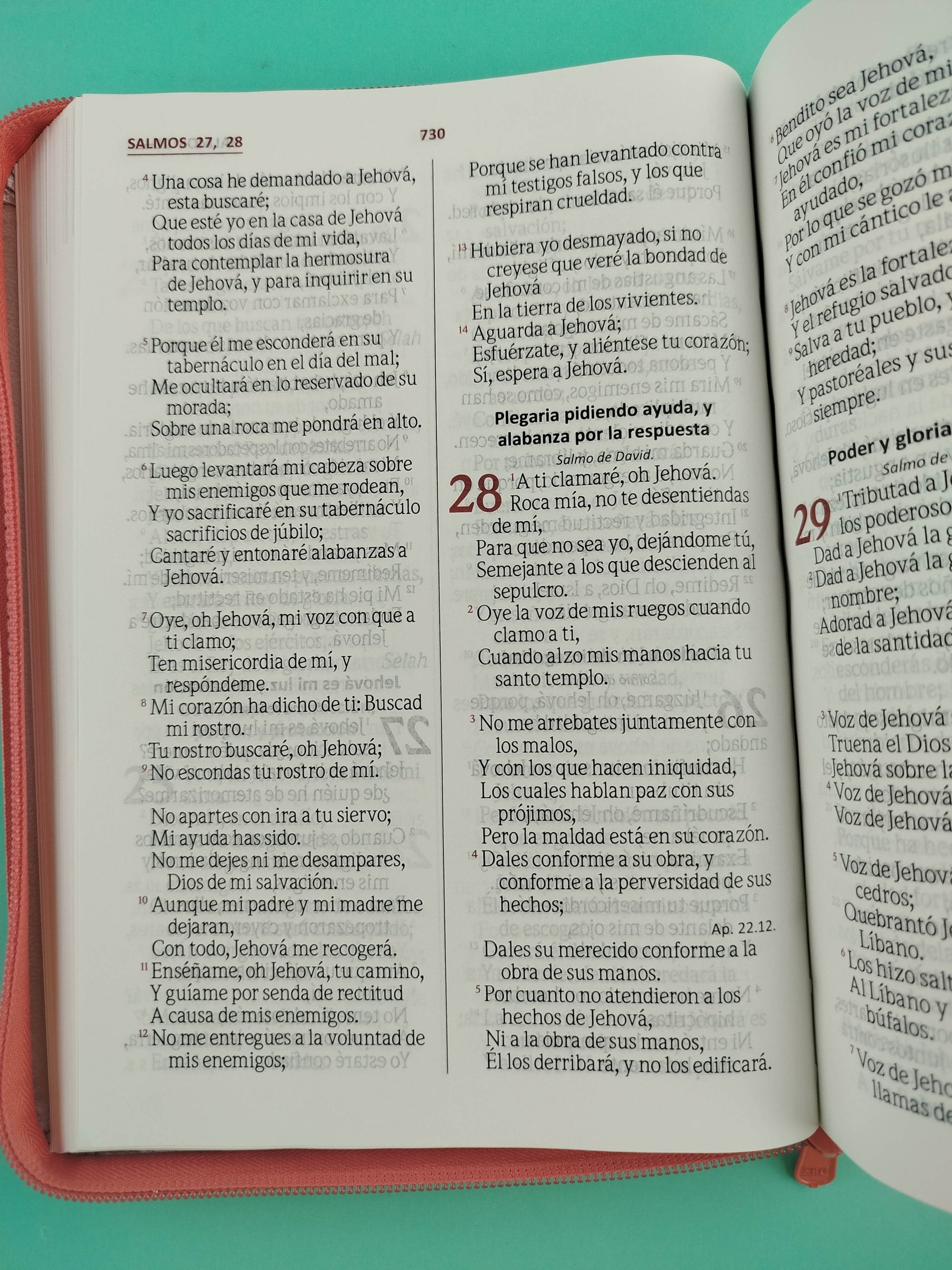 Biblia Letra gigante naranja champagne borde blanco con cierre by Reina Valera 1960