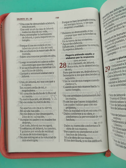 Biblia Letra gigante naranja champagne borde blanco con cierre by Reina Valera 1960