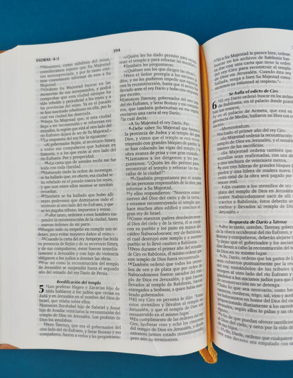 Biblia Reina Valera Contemporánea Tapa Dura Compacta