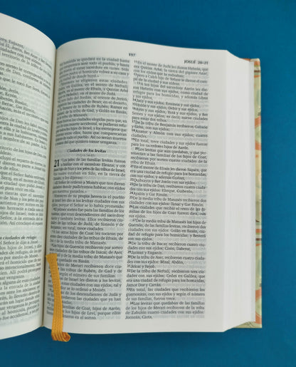 Biblia Reina Valera Contemporánea Tapa Dura Compacta