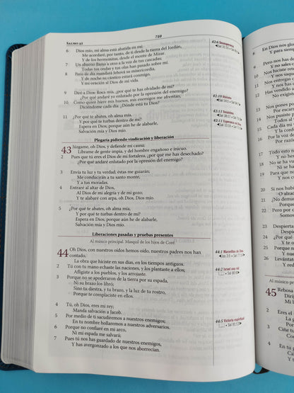Biblia Thompson Lujo Azul Marron De Estudio