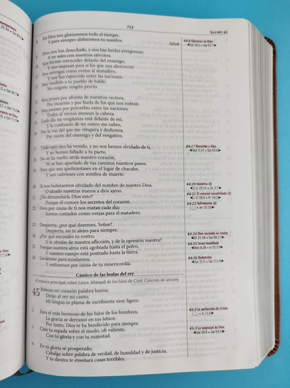Biblia Thompson Lujo Azul Marron De Estudio