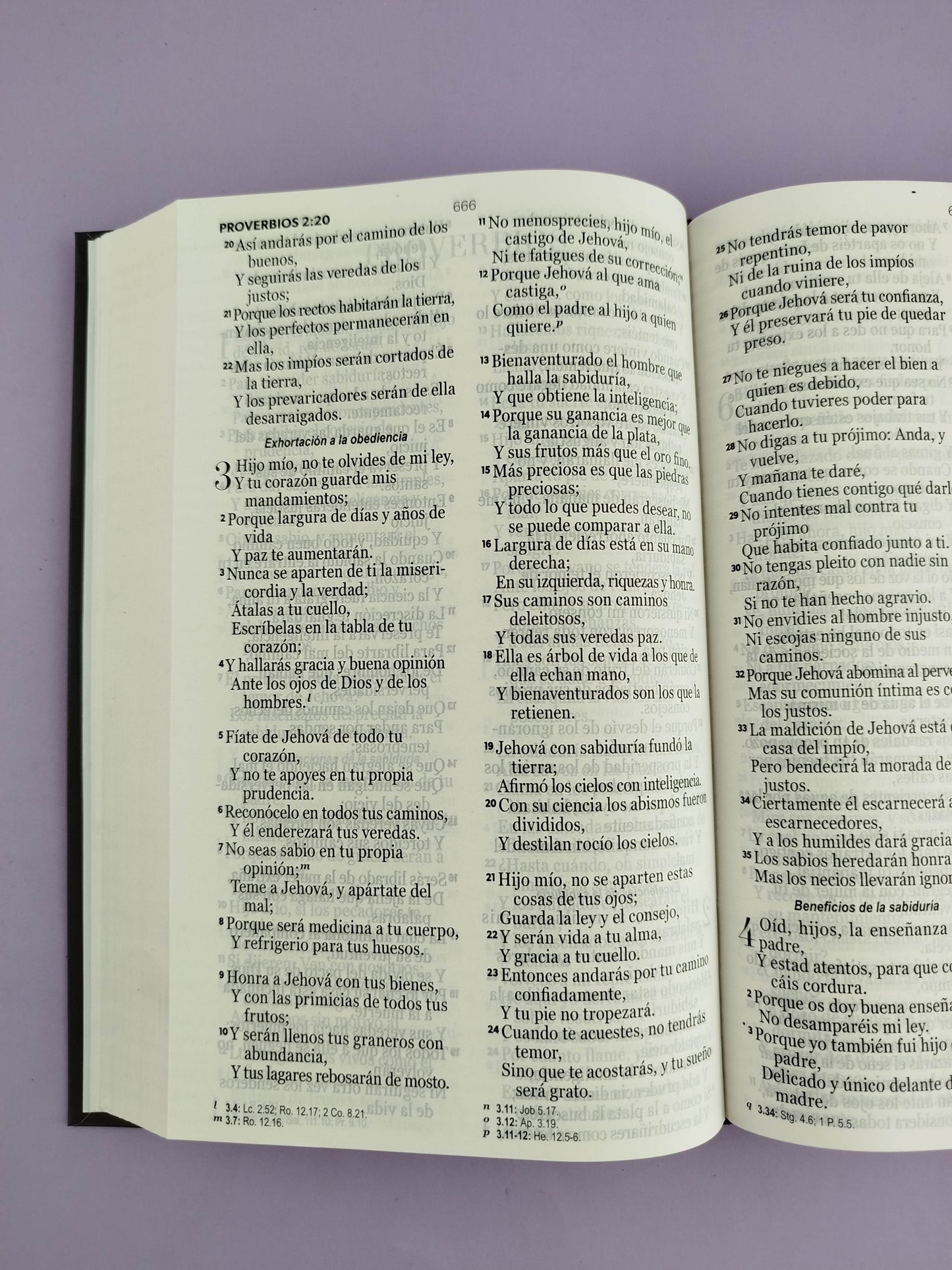 Biblia rvr 1960 letra grande pasta dura café duotono
