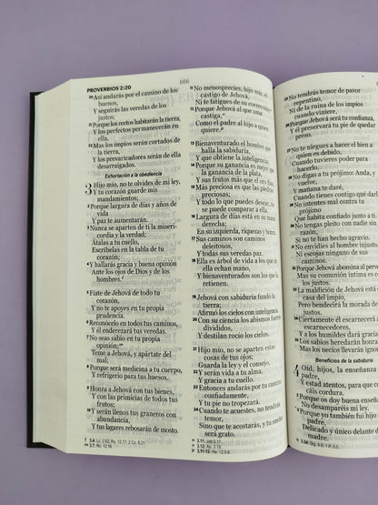 Biblia rvr 1960 letra grande pasta dura café duotono