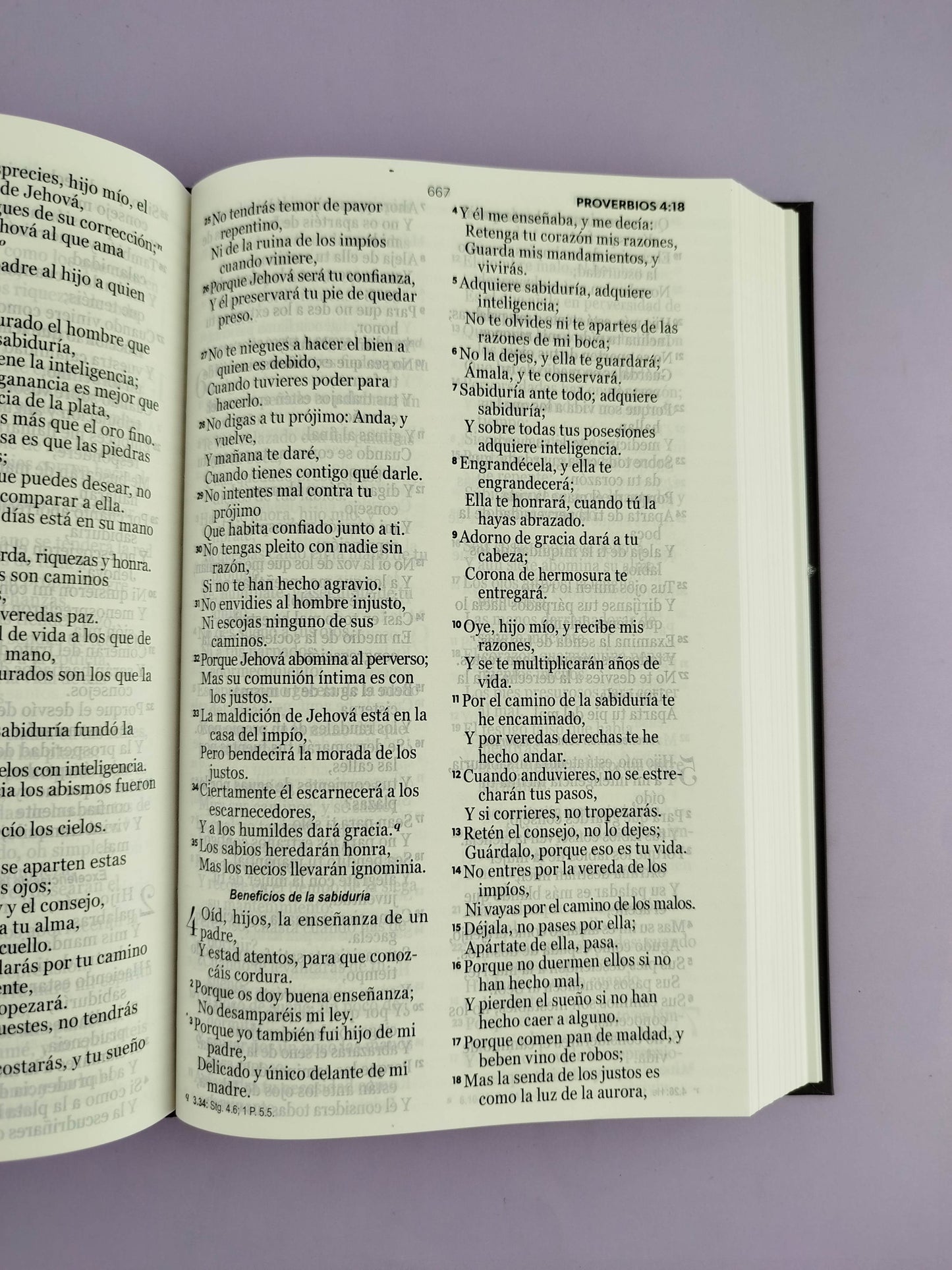 Biblia rvr 1960 letra grande pasta dura café duotono