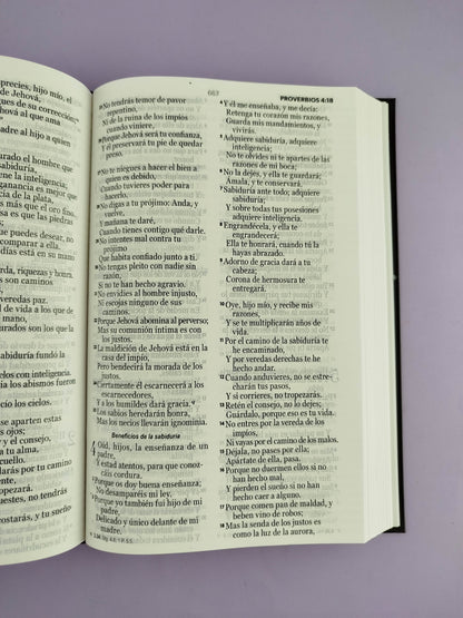 Biblia rvr 1960 letra grande pasta dura café duotono