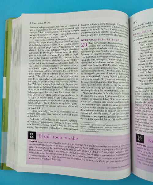 Biblia nvi verdadera identidad tapa dura by libreriatroya.com