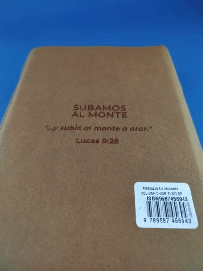 Biblia de oraciones café