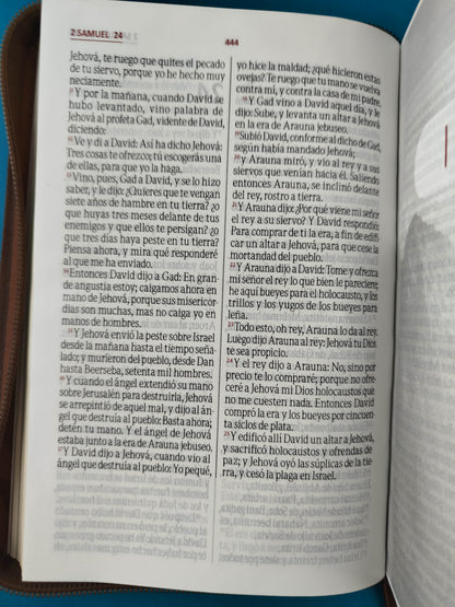 Biblia de oraciones café