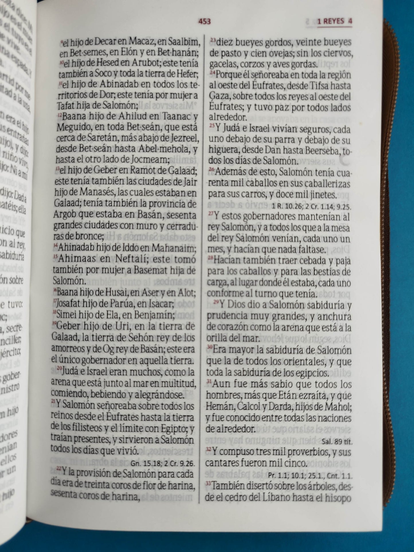 Biblia de oraciones café