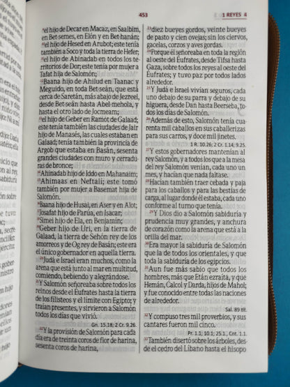 Biblia de oraciones café