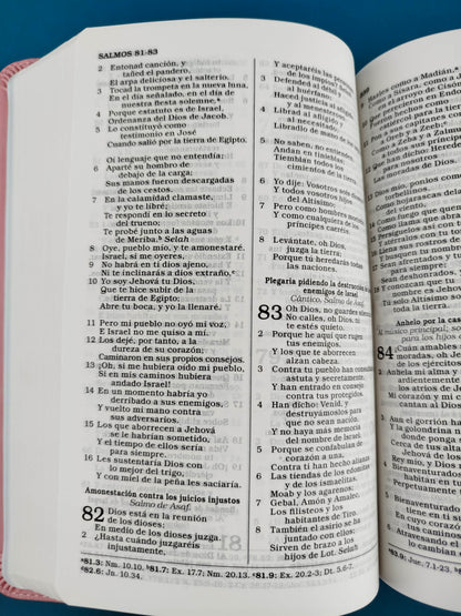 Santa biblia para regalos y premios simil piel rosada