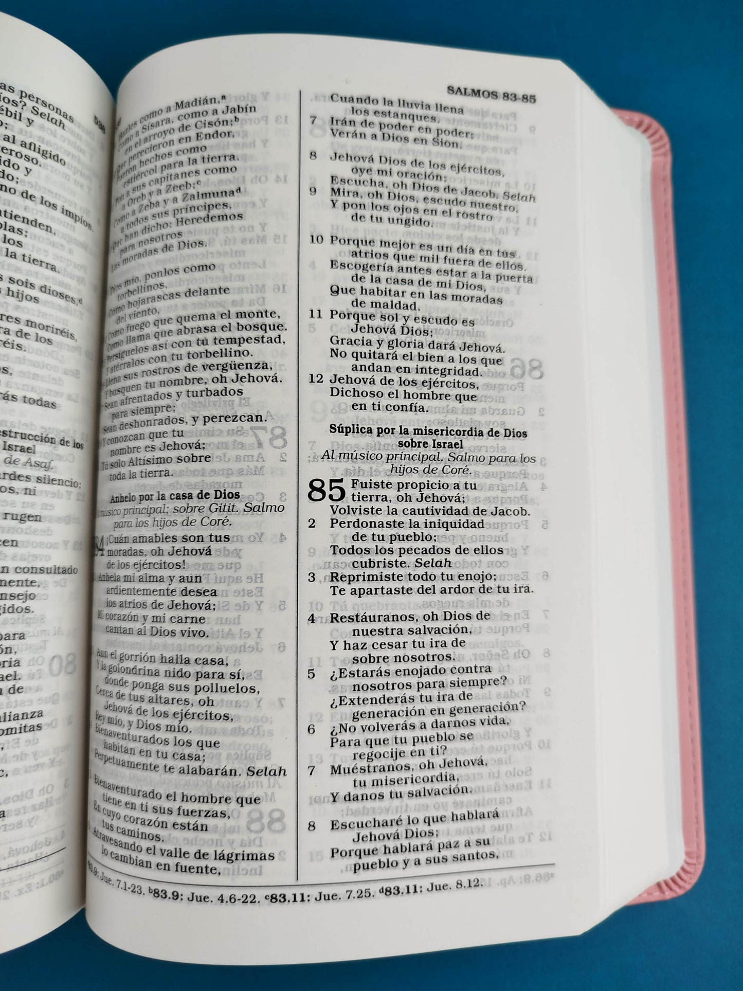 Santa biblia para regalos y premios simil piel rosada