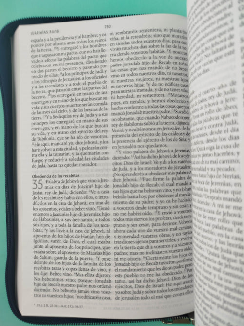 Biblia rvr 1960 letra grande estuche azul by Reina Valera 1960
