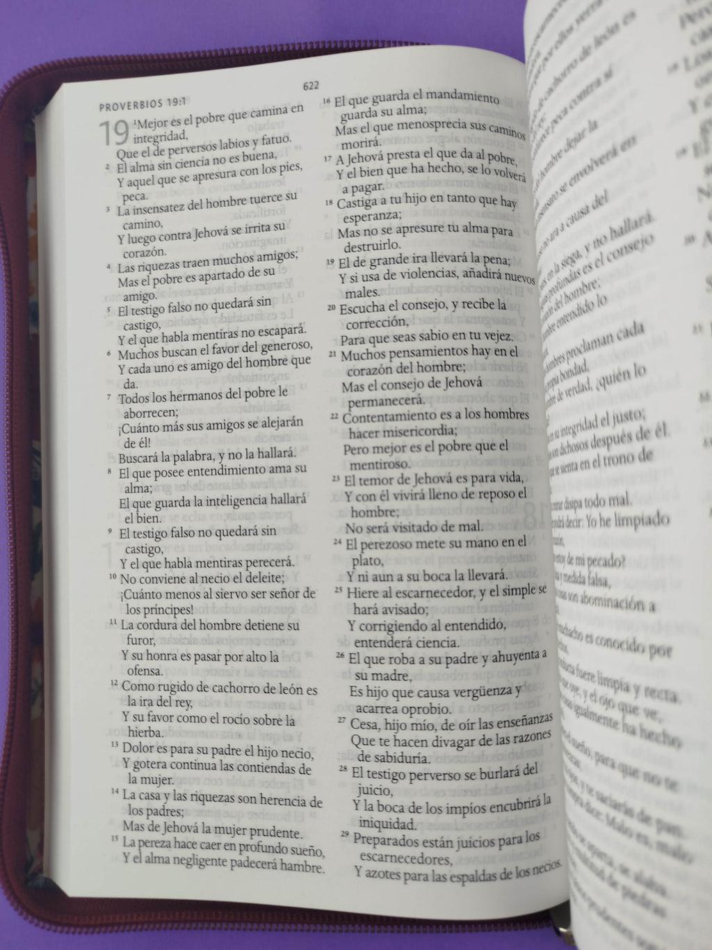 Biblia rvr 1960 letra grande estuche vinotinto satinado-flores by Reina Valera 1960