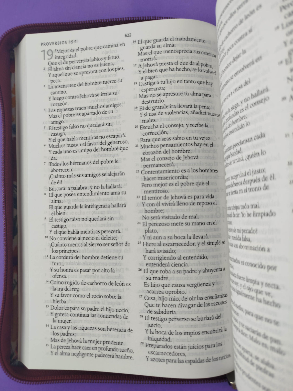 Biblia rvr 1960 letra grande estuche vinotinto satinado-flores by Reina Valera 1960