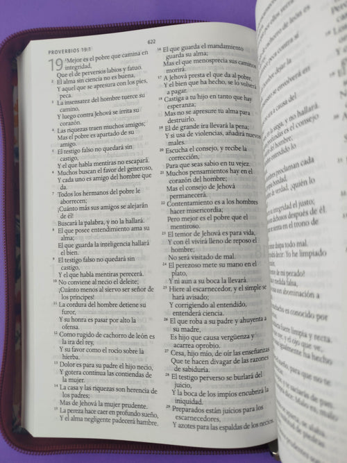Biblia rvr 1960 letra grande estuche vinotinto satinado-flores by Reina Valera 1960
