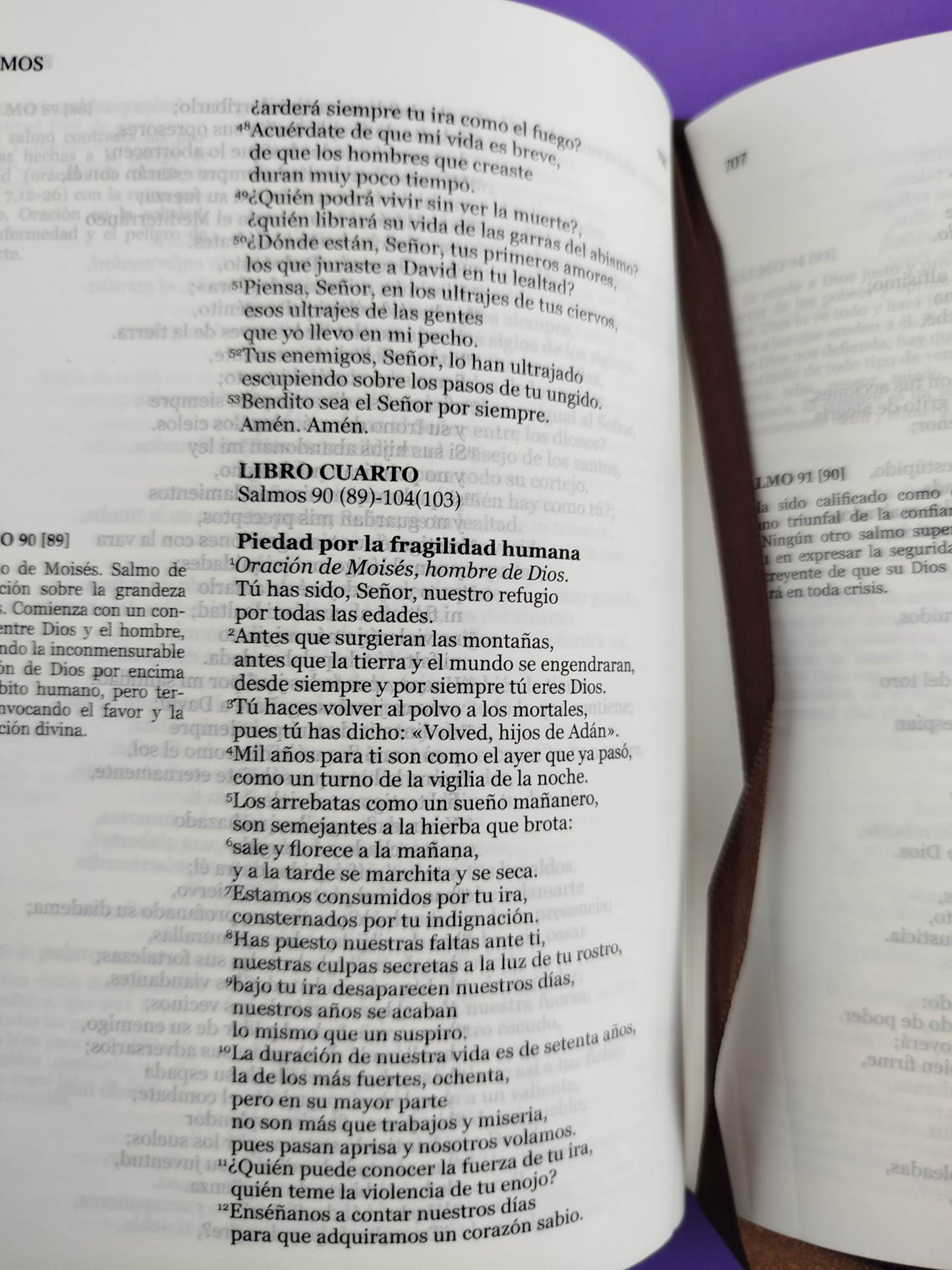 Nuestra sagrada biblia clásica estuche café